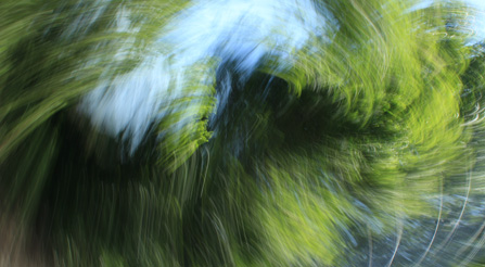 Shocking fine art contemporary abstract photography prints on sale example.