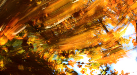 Shocking fine art contemporary abstract photography prints on sale example.