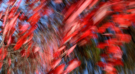 Shocking fine art contemporary abstract photography prints on sale example.