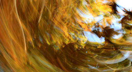 Shocking fine art contemporary abstract photography prints on sale example.