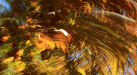 Shocking fine art contemporary abstract photography prints on sale example.