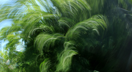 Shocking fine art contemporary abstract photography prints on sale example.