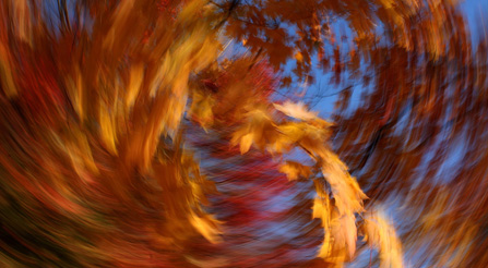 Shocking fine art contemporary abstract photography prints on sale example.